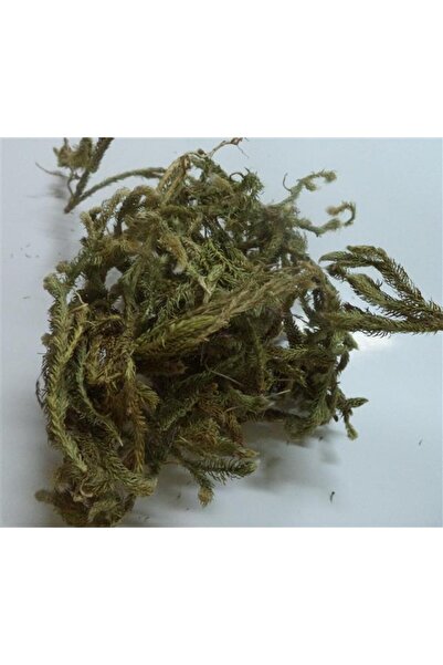 Aktar Depo Kurt Pençesi-kibrit Otu-kurt Ayağı 500 GR