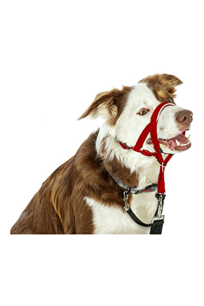 Company Of Animals Dog Training Collars Halti Muzzle (35-48 cm)