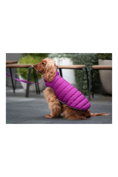 RedDingo Dog Coat Red Dingo Puffer 50 cm Pink/Purple