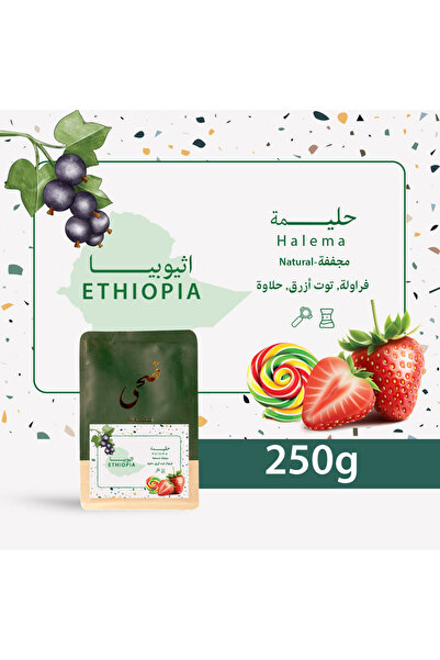 Doha Roasters حبوب قهوة مختصة محمصة ضحى حليمة -125 جرام - غير مطحونه