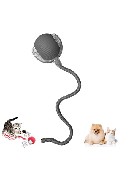 NEXTLY Minge interactivă pentru animale de companie cu LED, încărcare USB, 3 moduri - Gri