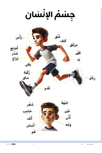 Akdem Yayınları Arapça Kelime Afişleri (Temel Kelimelerle İlgili 20 Afiş)