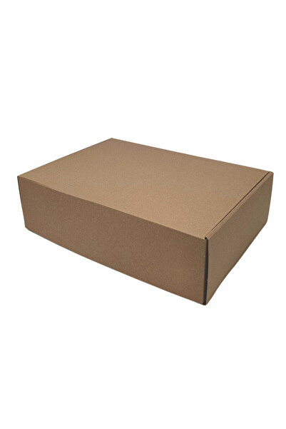 Papette Set of 50 pieces NATUR self-forming box 46 x 35 x 13cm