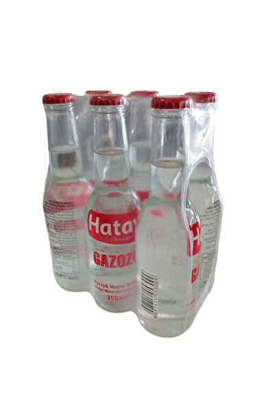 hataydanal Hatay Gazozu 250 ml 6'lı