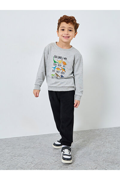 Styli Boys Grey Dinosaur Print Sweatshirt