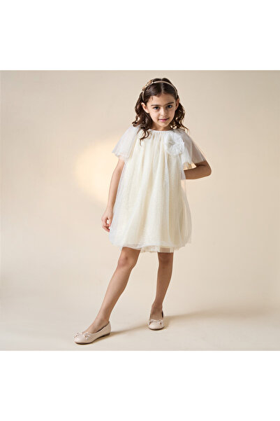 Juniors Embellished A-Line Dress with Floral Applique