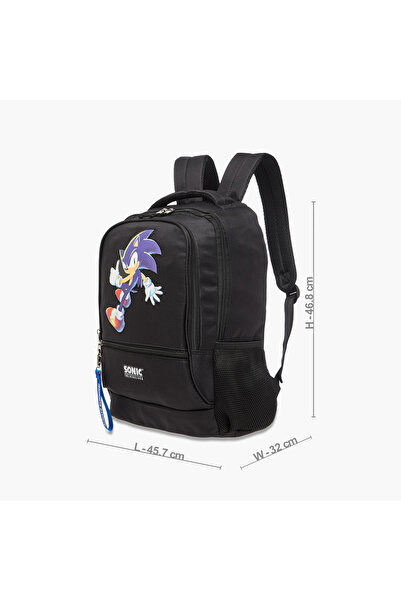 Sonic the Hedgehog Print Backpack with Adjustable Straps and Zip Closure - 18 inches