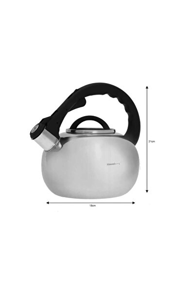 Klausberg Traditional kettle with whistle made of stainless steel, 2.5 liter kettle, 15-22 cm, silver,