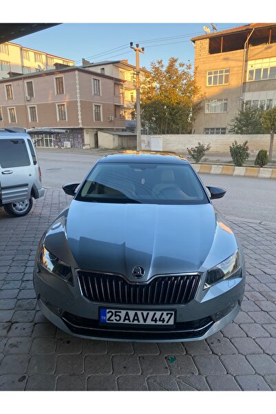 Aly Skoda Süper B 2015-2021 Arası Uyumlu Parkak Yarasa Ayna Kapağıı