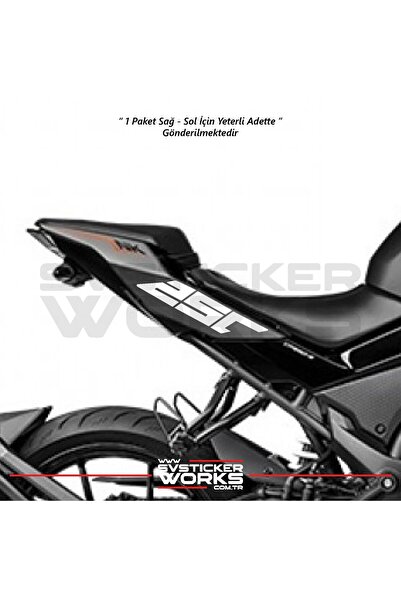 ARONA ملصق CFMOTO 250NK على الذيل الخلفي يمينًا ويسارًا 250 كلمة