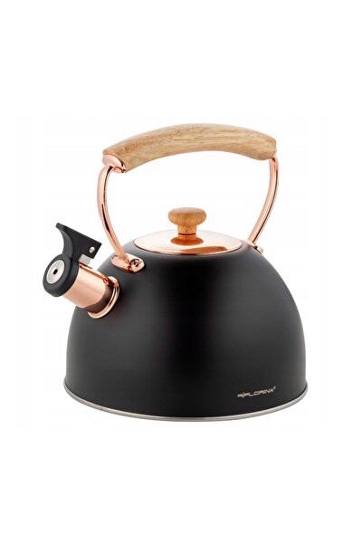 Florentyna Stainless steel kettle with whistle, traditional kettle, 2.5 liter capacity, black, Florina