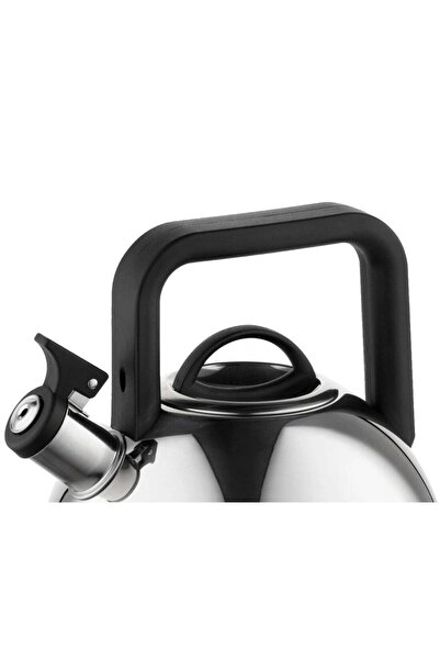 Florentyna Stainless steel kettle with whistle, traditional kettle, 2.5 liter capacity, silver-gray, Florina