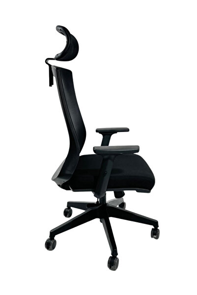 Ofisimi Dynamic Fileli Ergonomik Çalışma Koltuğu – Ayarlanabilir Kollar Başlık Bel Desteği - Siyah
