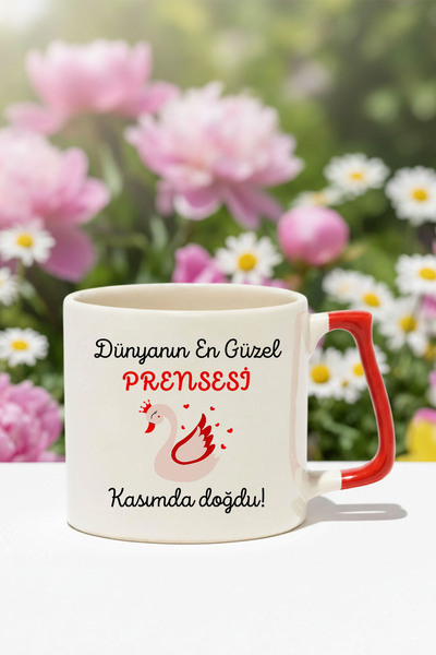 qoeuyl boutique The Most Beautiful Princess in the World Was Born in November Printed Birthday Gift D Mug with Handle