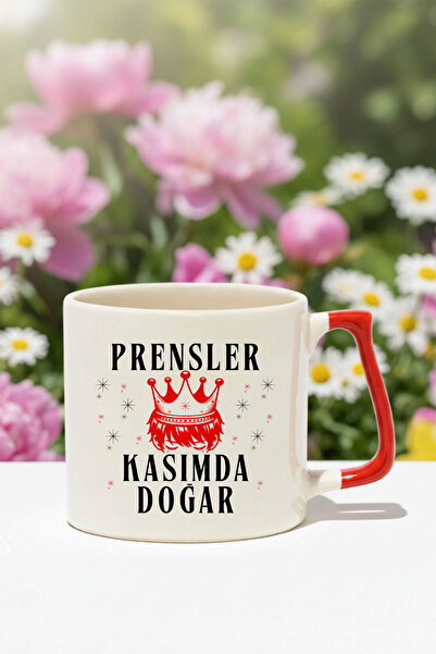 qoeuyl boutique Princes Are Born in November Printed Birthday Gift D Mug with Handle