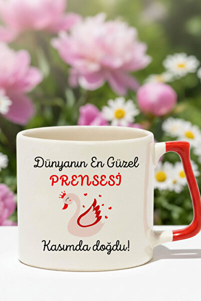 qoeuyl boutique The Most Beautiful Princess in the World Was Born in November Printed Birthday Gift D Mug with Handle