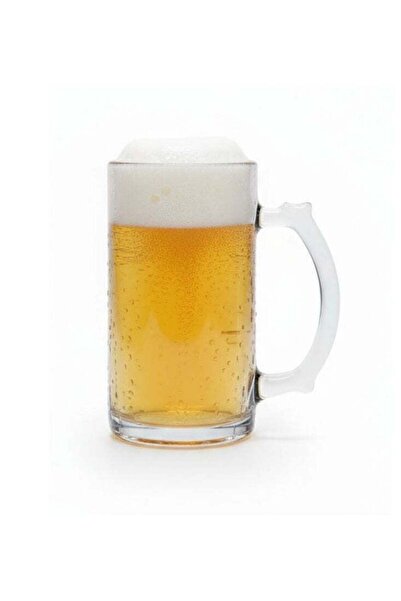 Premium Frosted Nordic Handle Beer Mug – Heavy Thick-Wall Glass Stein for Brews