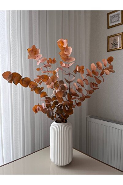 Vesile Atölye Kuru Çiçek Şoklanmış 1.Kalite Turuncu Okaliptüs