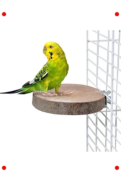 NETWORK ART Natural Wooden Bird Perch Round Model Log Perch