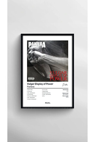 Thetic Pantera - Vulgar Display of Power Albüm Koleksiyonu PREMIUM Spotify Po...