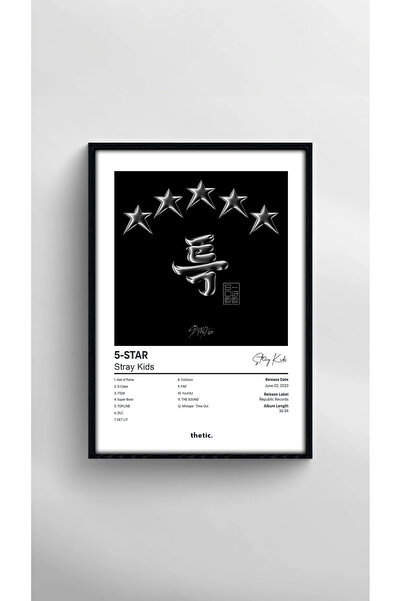 Thetic Stray Kids - 5-STAR Albüm Koleksiyonu PREMIUM Spotify Çerçeveli Tablo!