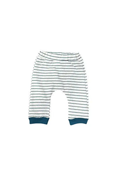 CNS Concept Ice bears 3 piece set