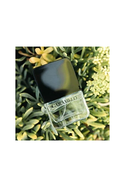 Caramelo Marine & Cedarwood Eau de Toilette for Men, 30 ml