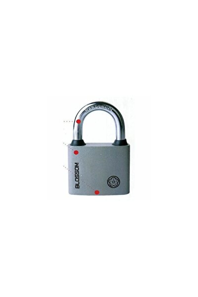 Strend Pro Λουκέτο από ατσάλι Blossom - 38 mm