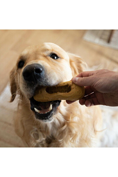 Nylabone Dog toy Brown Peanut butter M