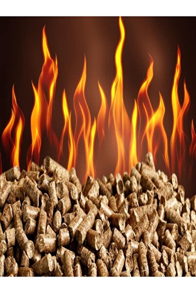 Kamataş Yüksek Isı Değerli A1 Kalite Dumansız %100 Çam Peleti Yakıtı 2 kg