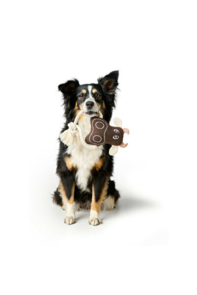 Hunter Dog toy Nebraska Brown Cow