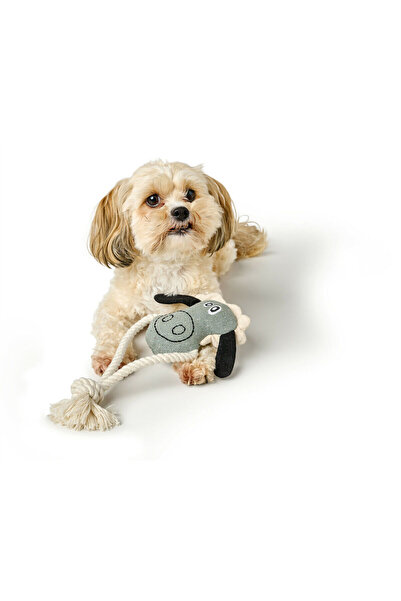 Hunter Jucărie pentru câini NEBRASKA Blue Ship