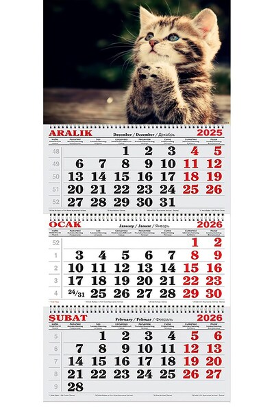 GENC DIJITAL BASKI 2026 Yılı Gemici Takvimi- Tatlı Yavru Kedi
