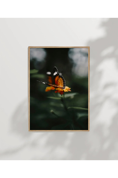 VOGLOO Butterfly and Flower Poster