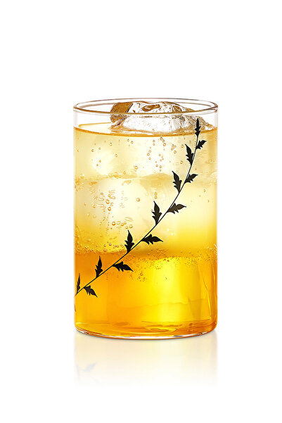 Borosil 6-Piece Vision Glass Black Krip Medium, 295ml