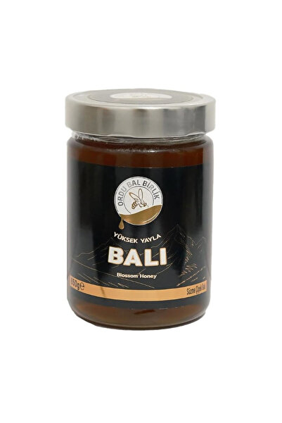 ORDUBALBİRLİK Ordu Birlik Yüksek Yayla Balı 850gr