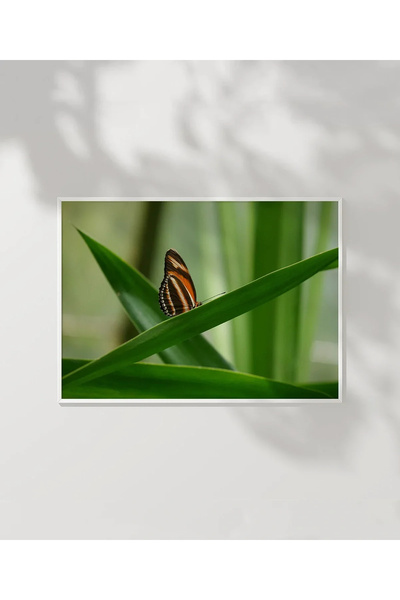 VOGLOO Butterfly Spring Poster