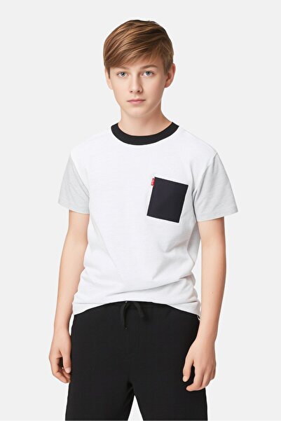 Levi's Kids Boy Crew Neck Short Sleeve Two-Tone T-shirts, Multicolor