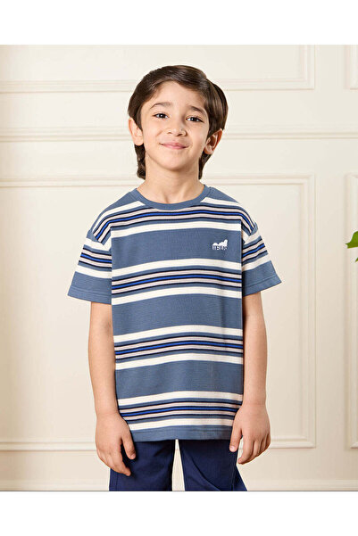 REDTAG Boys Blue Striped T-Shirt