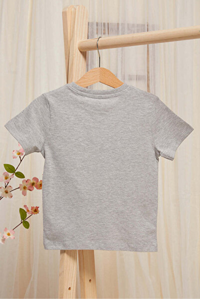 REDTAG Infant Boys Grey Shark Printed T-Shirt