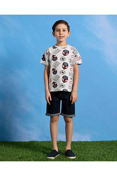 REDTAG Boys Grey Spiderman Print Short Sleeve T-Shirt