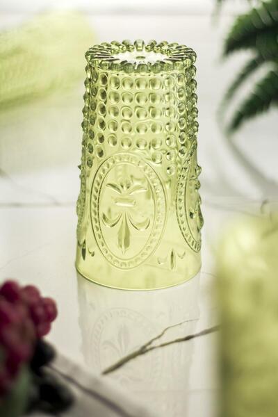 Mustran Acrylic Green Single Tall Cup & Water Soft Drink Cup 750 ml (Large Size & Not Glass)