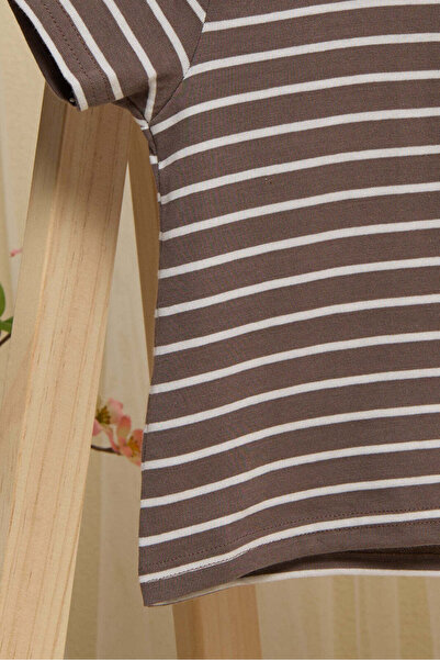 REDTAG Infant Boys Brown Striped T-shirt