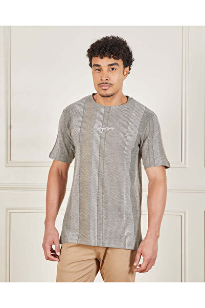 REDTAG Men Grey Striped T-Shirt