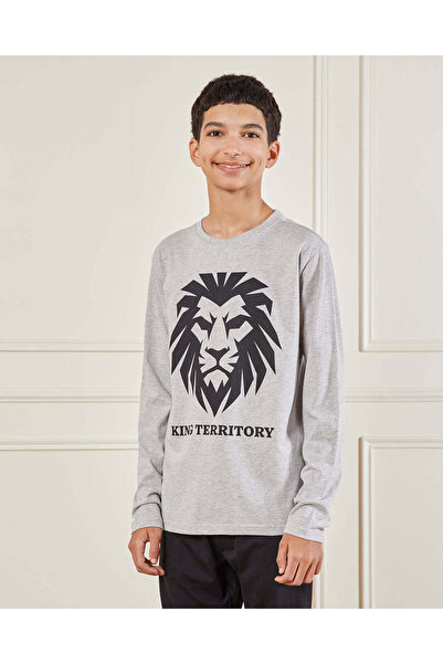 REDTAG Senior Boys Grey Graphic T-Shirt
