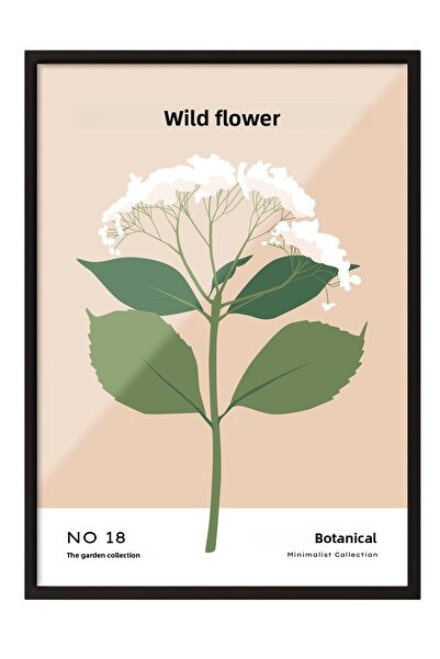 Zestia Tablou înrămat negru, Fleur Sauvage - Floare albă, Poster decorativ pe...