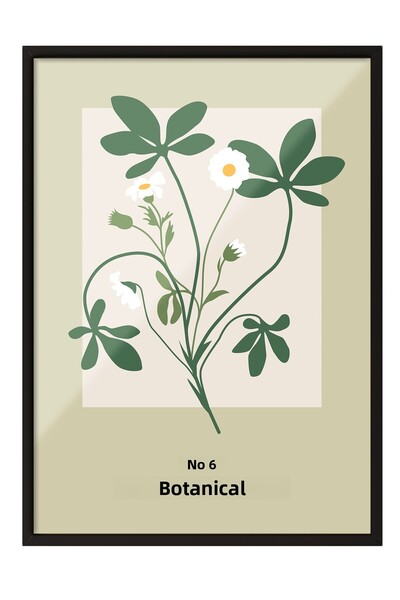 Zestia Εικονογράφηση με μαύρο πλαίσιο, Βοτανική εικονογράφηση φυτού χαμομηλιο...