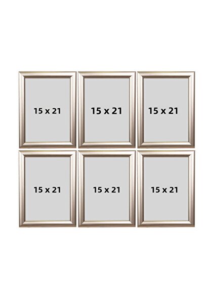 Araste 6 إطارات صور بأرجل 15x21