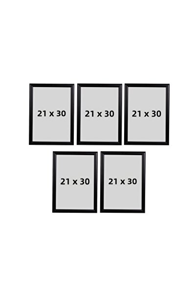 Araste 21x30 (A4) 5 إطارات (جودة) موديل PVC Li