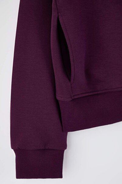 Trendyol Curve Mor Regular Fit Flowy Fabric Front Zipper Plus Size Sweatshirt Tbbaw26Ao00031